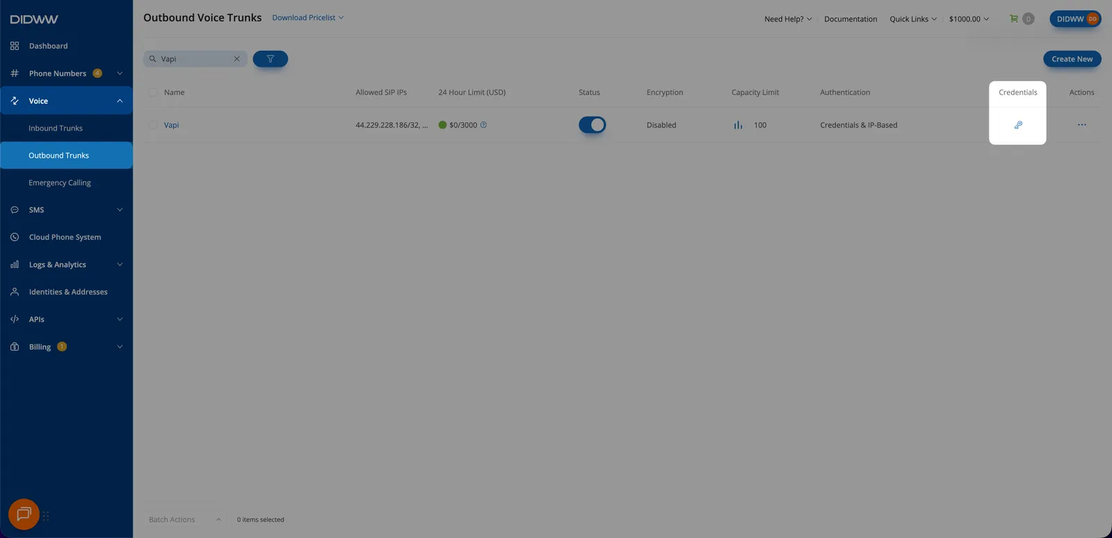 DIDWW outbound trunk credentials dialog showing the username and password fields