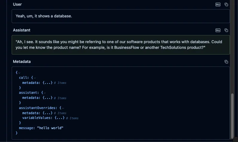 Langfuse Metadata Example